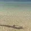ゆっきのプロフィール画像