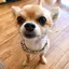 茉鈴のプロフィール画像
