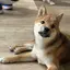 広希のプロフィール画像