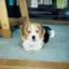 みのりのプロフィール画像
