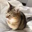 ゆのプロフィール画像