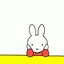 たまちゃんのプロフィール画像