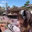あーちゃんのプロフィール画像