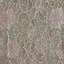 アノンのプロフィール画像
