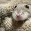 ゆぴのプロフィール画像