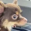 みゆのプロフィール画像