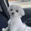 ちぃちゃんのプロフィール画像