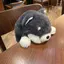 みーくろのプロフィール画像