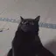 わのプロフィール画像