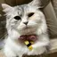 まゆかのプロフィール画像