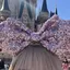 nのプロフィール画像