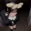 あゆのプロフィール画像