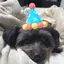 るーしーのプロフィール画像