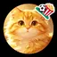 ショウランのプロフィール画像