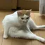 ものプロフィール画像