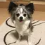 るるららのプロフィール画像