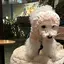 kのプロフィール画像
