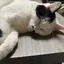 よーちゃんのプロフィール画像