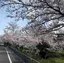 しゅーくりーむのプロフィール画像