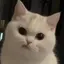 Aのプロフィール画像