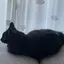みさきのプロフィール画像