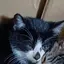 りのプロフィール画像