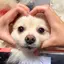 かよこのプロフィール画像