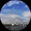 レースのプロフィール画像