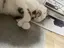 つばさのプロフィール画像