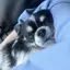 みちゃんのプロフィール画像