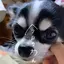 ひろのプロフィール画像