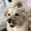 milkのプロフィール画像