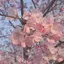 Rのプロフィール画像