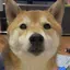 はがのプロフィール画像