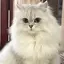 あやのプロフィール画像