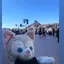 ジェラトーニのプロフィール画像