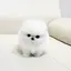 こ!のプロフィール画像