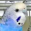 yukinoのプロフィール画像