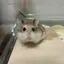 涼のプロフィール画像
