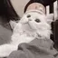 ゆのプロフィール画像