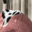 oooのプロフィール画像