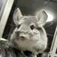 Yのプロフィール画像