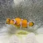 Yのプロフィール画像