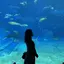 Nのプロフィール画像
