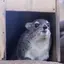 なのプロフィール画像