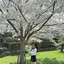 ゆいのプロフィール画像