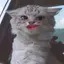 りさのプロフィール画像