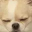 梢のプロフィール画像