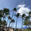 Alohaのプロフィール画像