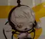 まおのプロフィール画像